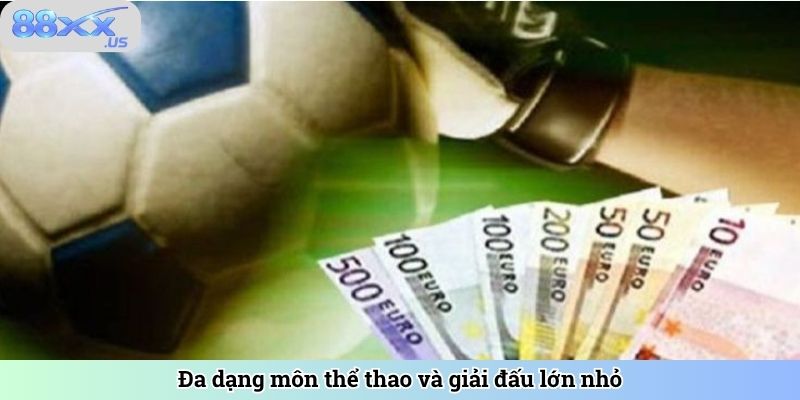 Đa dạng môn thể thao và giải đấu lớn nhỏ