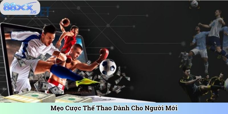 Mẹo Cược Thể Thao Dành Cho Người Mới