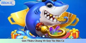 Giới Thiệu Chung Về Quy Tắc Bắn Cá